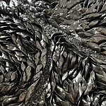 Панно «Чёрный лебедь» варинант исполнения - 3 | Loft Concept во Владивостоке