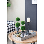 Декоративный искусственное растение Double boxwood варинант исполнения - 8 | Loft Concept во Владивостоке