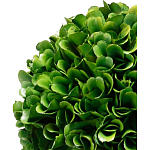 Декоративный искусственное растение Single boxwood варинант исполнения - 2 | Loft Concept во Владивостоке