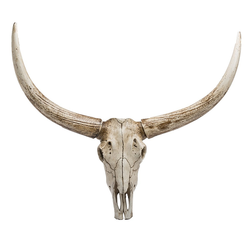 Череп быка Bull Skull Бежево-серый Череп быка Bull Skull Бежево-серый во Владивостоке | Loft Concept