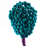 Статуэтка для интерьера фрукт Pandora Tropical Fruit 22 варинант исполнения - 2 | Loft Concept во Владивостоке