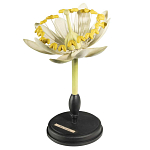 Статуэтка Tilia варинант исполнения - 3 | Loft Concept во Владивостоке