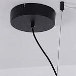 Люстра подвесная светодиодная черный металл Ring Horizontal варинант исполнения - 13 | Loft Concept во Владивостоке