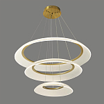 Люстра подвесная с 3-мя кольцевыми светодиодными лампами Catcher варинант исполнения - 1 | Loft Concept во Владивостоке