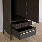 Узкий Шкаф Primo с 2 выдвижными ящиками Темный орех варинант исполнения - 5 | Loft Concept во Владивостоке