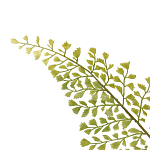 Декоративный искусственное растение Dried flower варинант исполнения - 3 | Loft Concept во Владивостоке