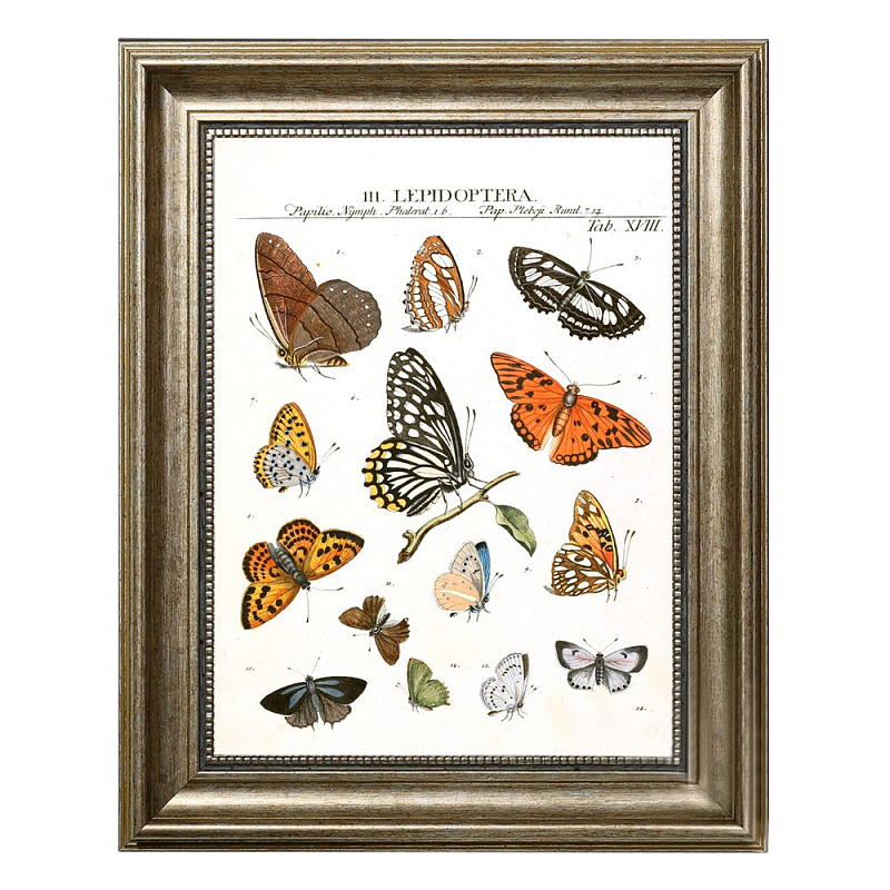 Постер Little Butterflies  во Владивостоке | Loft Concept 
