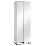 Двухдверный шкаф с зеркальными дверцами Strict Lines варинант исполнения - 5 | Loft Concept во Владивостоке