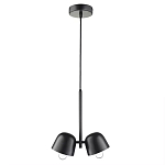 Подвесной светильник черный с 2-мя плафонами Pendant lamp Black варинант исполнения - 1 | Loft Concept во Владивостоке