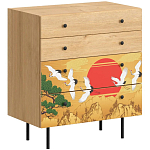 Комод с принтом на ящиках Elise Chest of Drawers варинант исполнения - 4 | Loft Concept во Владивостоке