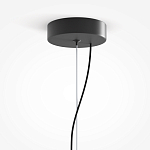 Подвесной светильник Rare grapes варинант исполнения - 4 | Loft Concept во Владивостоке