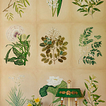 Обои ручная роспись Botanical Studies Linnaeus colourway варинант исполнения - 3 | Loft Concept во Владивостоке