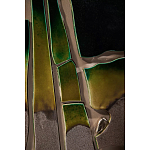 Панно «Амазония» варинант исполнения - 3 | Loft Concept во Владивостоке