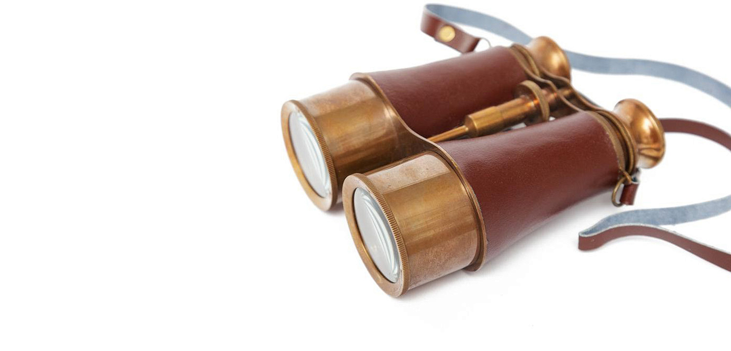 Винтажный бинокль в подарочной коробке Victorian Era Brass Binoculars - Loft-Concept во Владивостоке