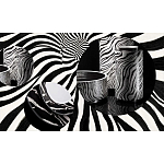 Редкое коллекционное издание Casa Cavalli Home: Celebrating the Roberto Cavalli Lifestyle Зебра варинант исполнения - 4 | Loft Concept во Владивостоке