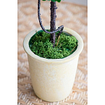 Декоративный искусственное растение Single boxwood варинант исполнения - 6 | Loft Concept во Владивостоке