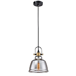 Подвесной светильник Moss варинант исполнения - 3 | Loft Concept во Владивостоке