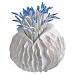 Статуэтка тропический фрукт Tropical Fruit White Blue варинант исполнения - 2 | Loft Concept во Владивостоке