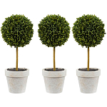 Декоративный искусственное растение Boxwood One варинант исполнения - 1 | Loft Concept во Владивостоке