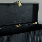 Большой дизайнерский Сундук Elsa Dreams Black варинант исполнения - 3 | Loft Concept во Владивостоке