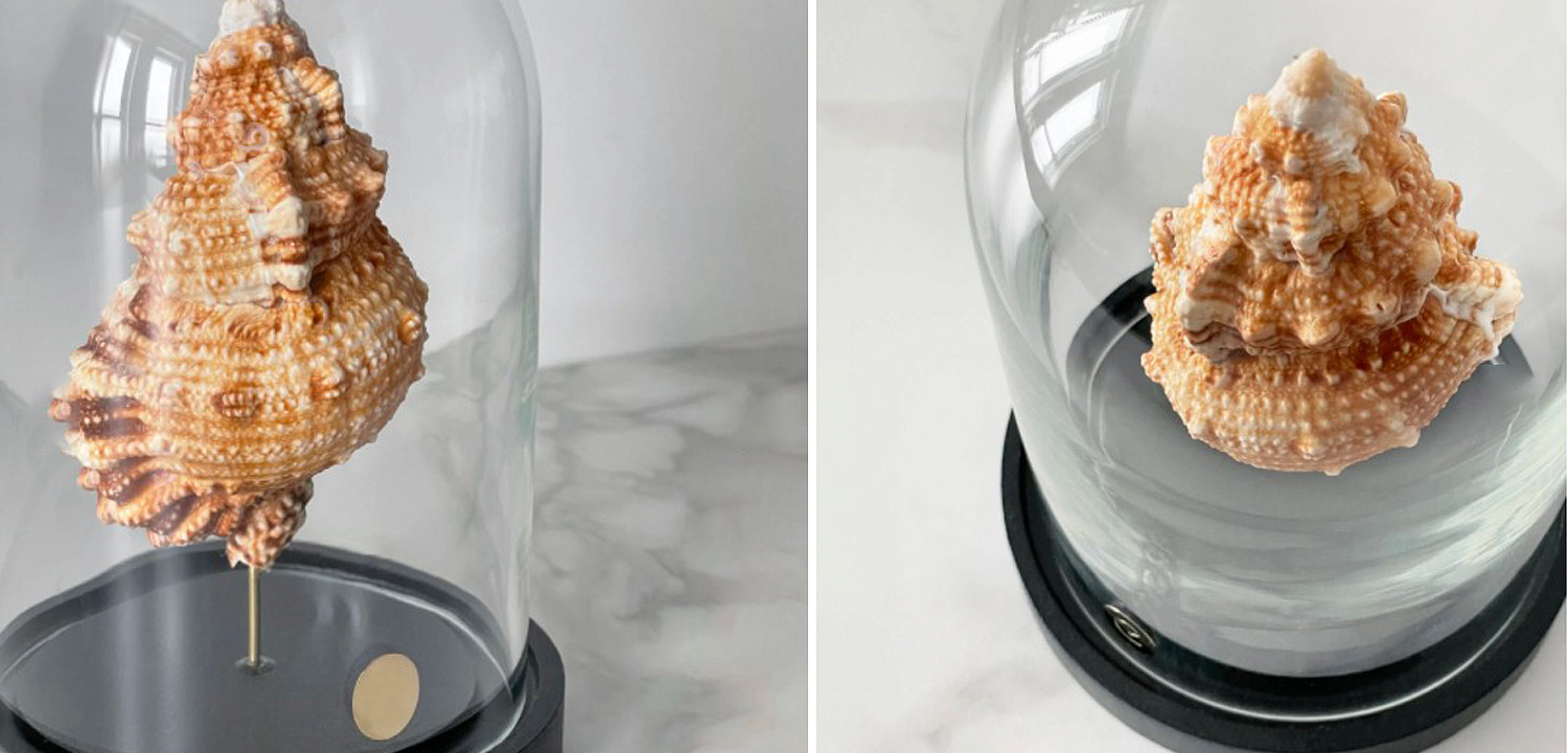 Статуэтка Bursa Rubeta Glass Cloche Статуэтка Bursa Rubeta Glass Cloche - Loft-Concept во Владивостоке