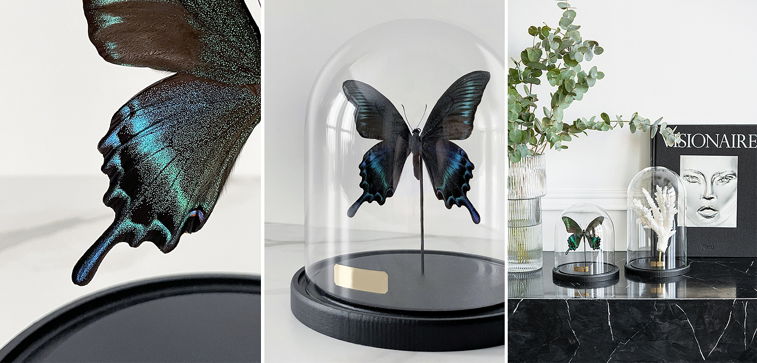 Статуэтка Butterfly Sailboat Maaka Glass Cloche Статуэтка Butterfly Sailboat Maaka Glass Cloche - Loft-Concept во Владивостоке