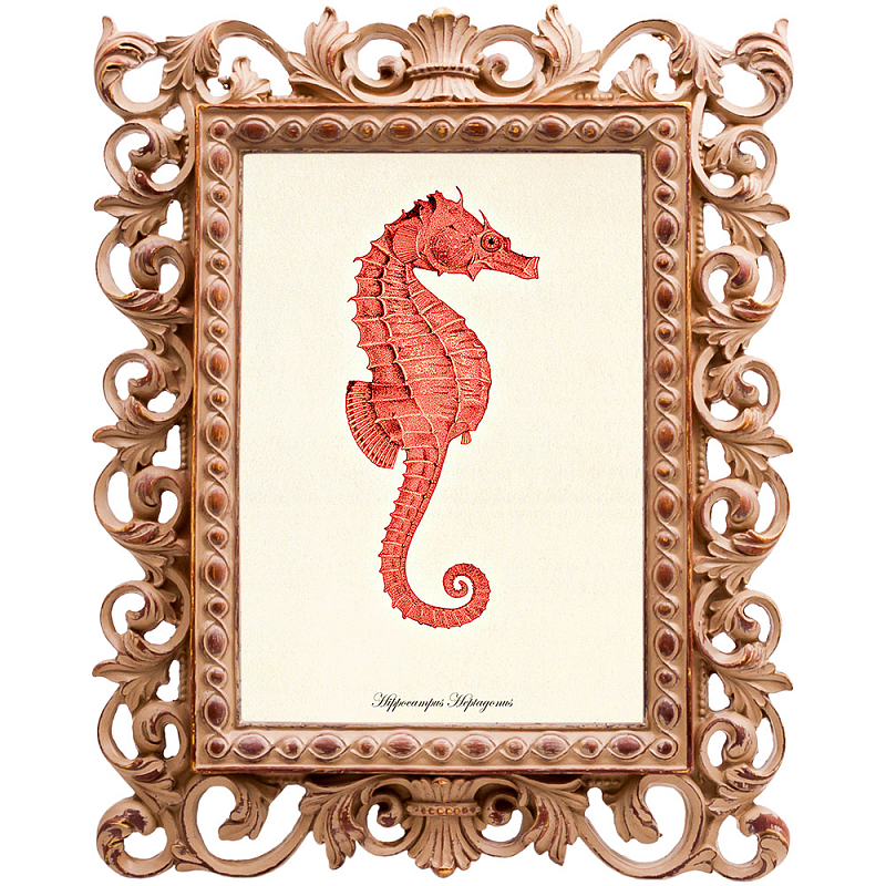Постер Red Seahorse Poster Бежевый Красный Постер Red Seahorse Poster Бежевый Красный во Владивостоке | Loft Concept