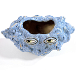 Чаша голубая Взгляд Cup Eye Opposite варинант исполнения - 2 | Loft Concept во Владивостоке