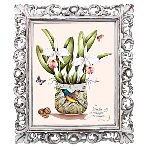 Постер White Orchid Poster