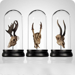 Аксессуар Exhibit