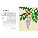 Прекрасно иллюстрированная книга более 100 ботанических произведений Plant Hunters Atlas варинант исполнения - 4 | Loft Concept во Владивостоке