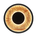 Бра круглое Gold Sun Lighting  варинант исполнения - 1 | Loft Concept во Владивостоке