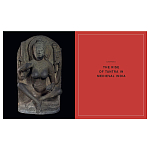 Книга Tantra: Enlightenment to Revolution варинант исполнения - 5 | Loft Concept во Владивостоке