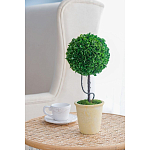 Декоративный искусственное растение Single boxwood варинант исполнения - 5 | Loft Concept во Владивостоке