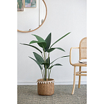 Декоративный искусственное растение Decor Stile  варинант исполнения - 5 | Loft Concept во Владивостоке