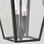 Настенный фонарь черного цвета с прозрачным стеклянным плафоном трапециевидной формы Hinkley варинант исполнения - 4 | Loft Concept во Владивостоке