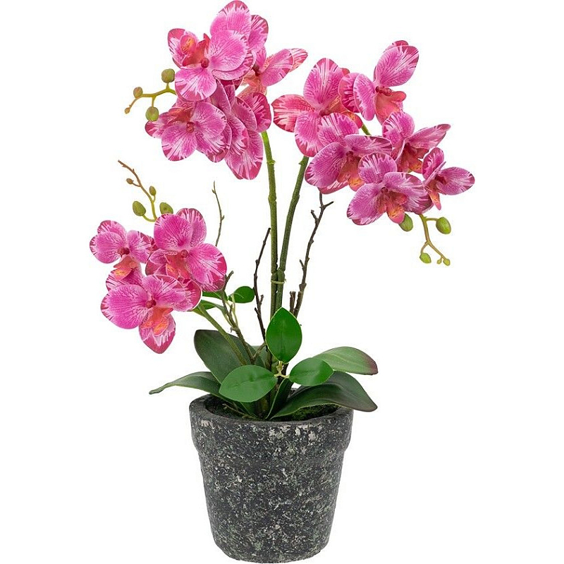 Декоративный искусственное растение Pink orchid Зеленый Черный Розовый Декоративный искусственное растение Pink orchid Зеленый Черный Розовый во Владивостоке | Loft Concept