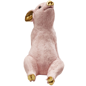 Категория товаров: Свинья